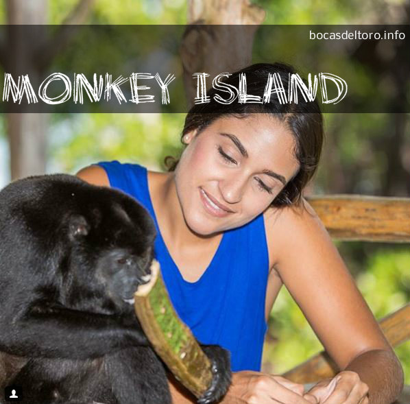 monkey island tours